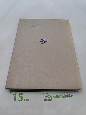 Цветной венок