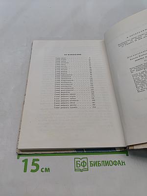 Девочка и птицелёт