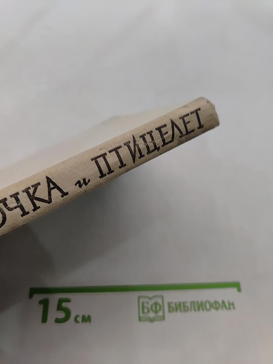 Девочка и птицелёт