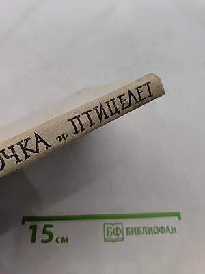 Девочка и птицелёт