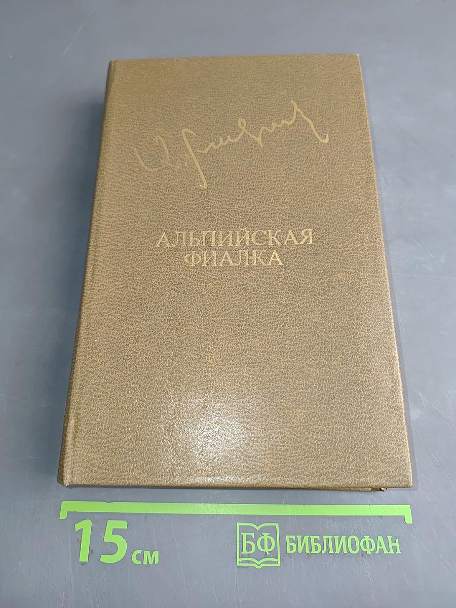 Альпийская фиалка