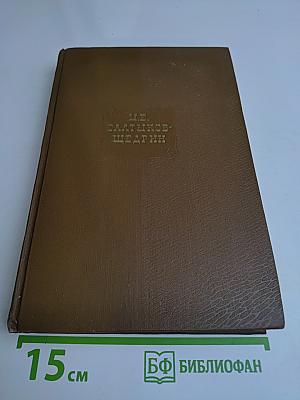 Собрание сочинений. Том второй. Губернские очерки 1856-1857