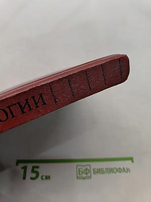 Справочник по урологии