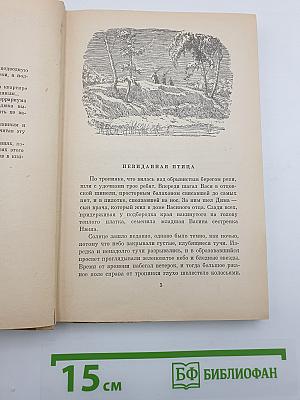 Невиданная птица