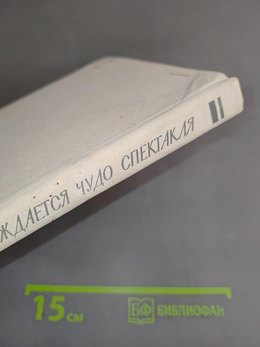 ...И рождается чудо спектакля