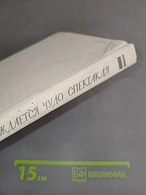 ...И рождается чудо спектакля
