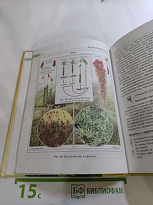 Биология. Растения. Бактерии. Грибы. Лишайники 5-6 классы. Часть 2