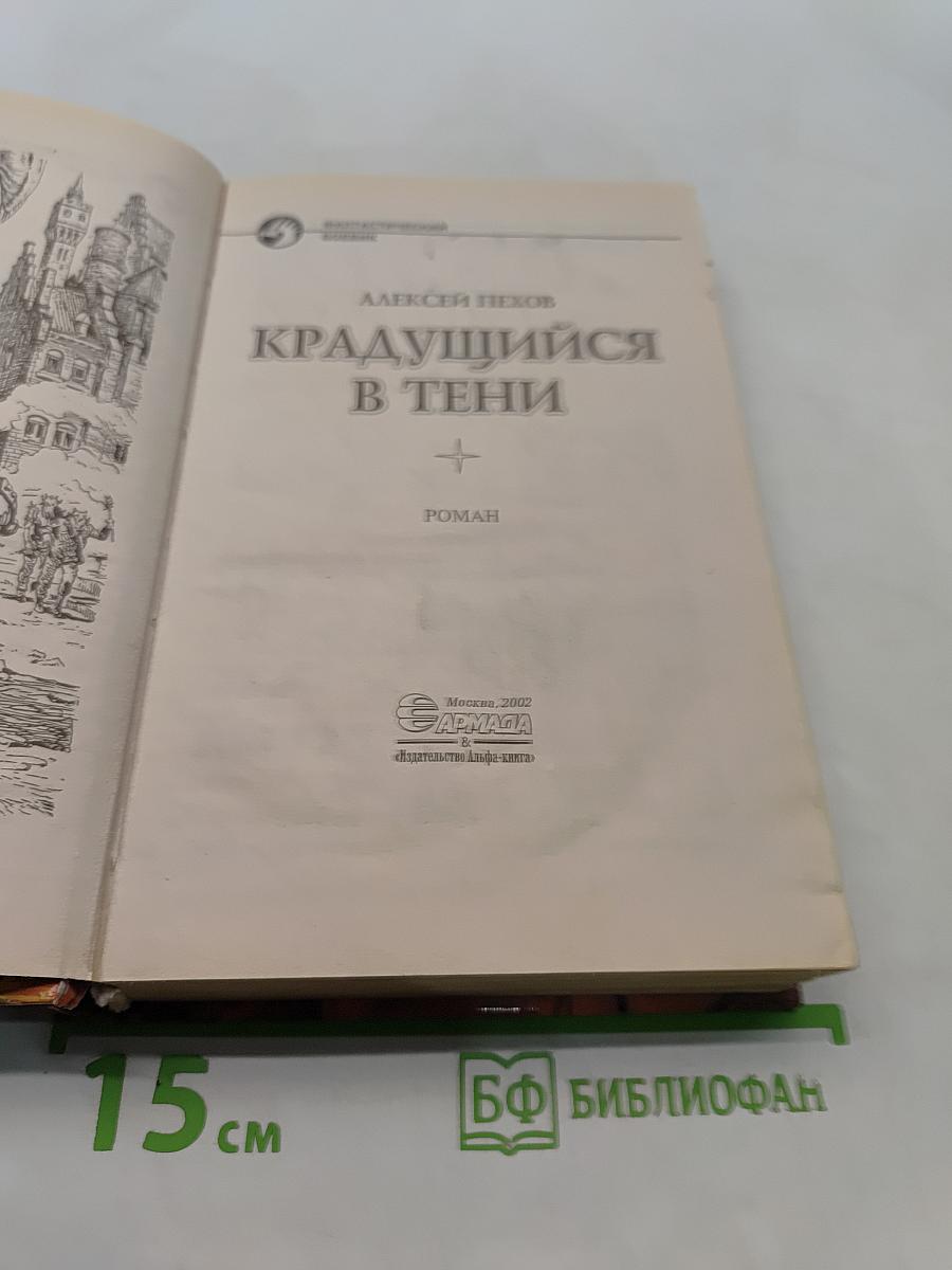 Крадущийся в тени