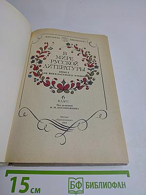 В мире русской литературы. Книга для внеклассного чтения. 6 класс