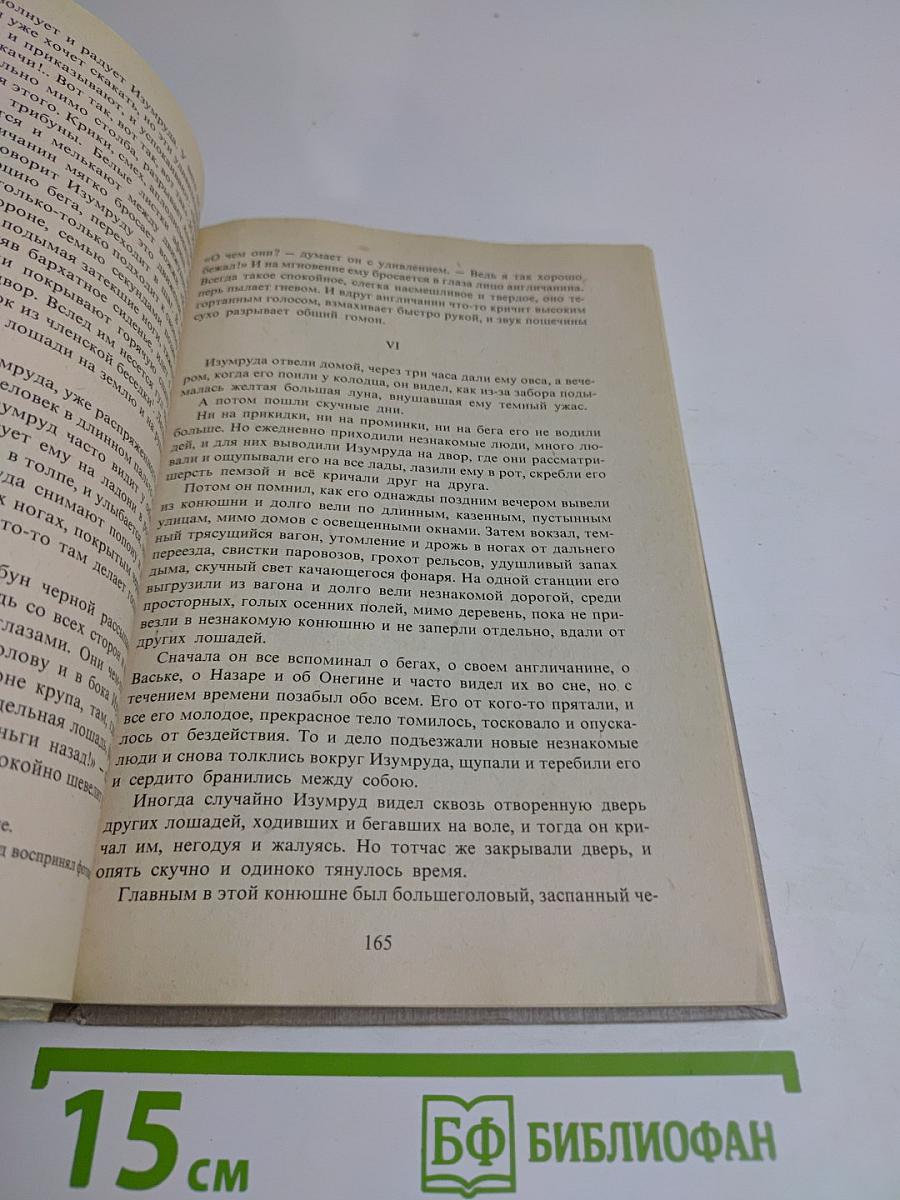 В мире русской литературы. Книга для внеклассного чтения. 6 класс