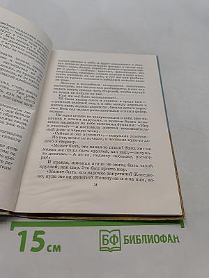Сандалии, полная скорость!
