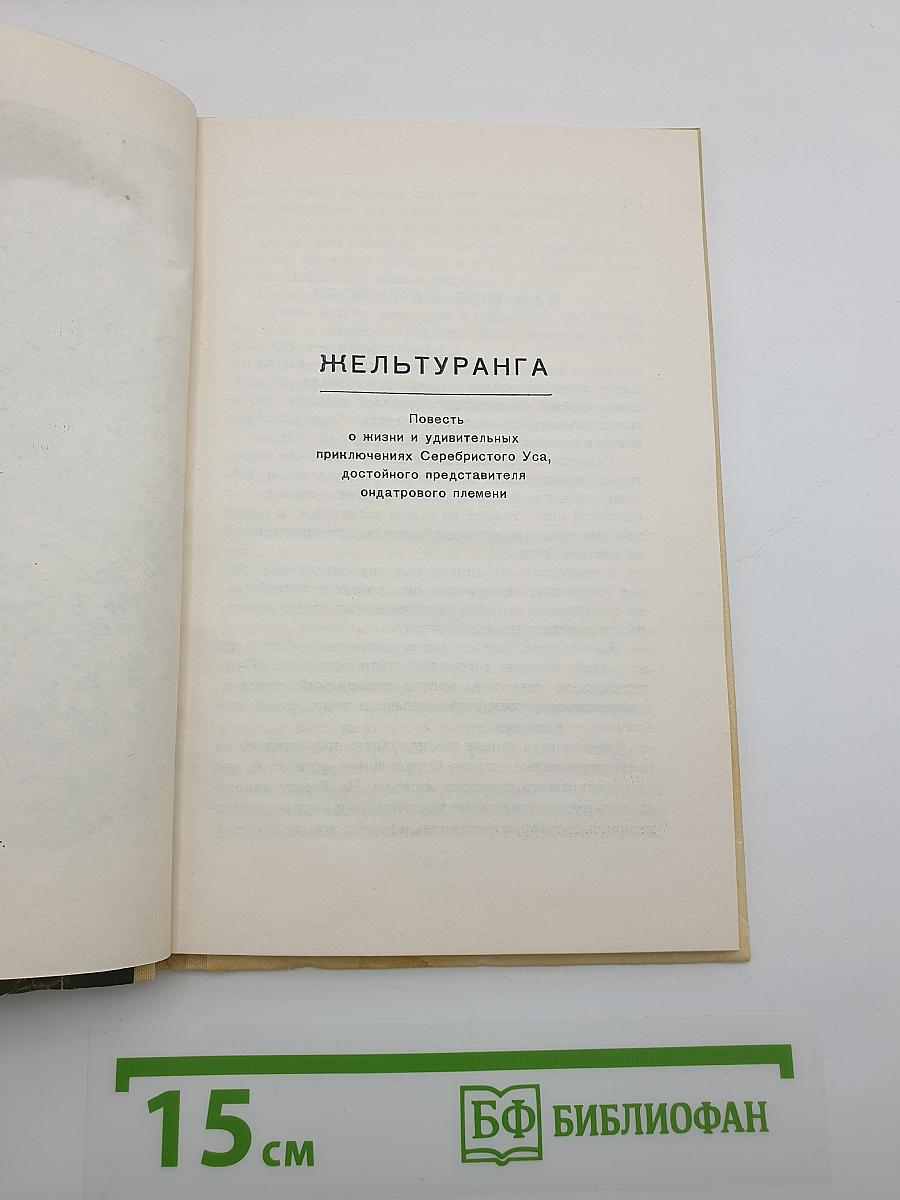 Пещера Черной Торопыги