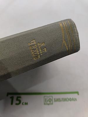 Собрание сочинений. Том двенадцатый. Письма 1898-1904