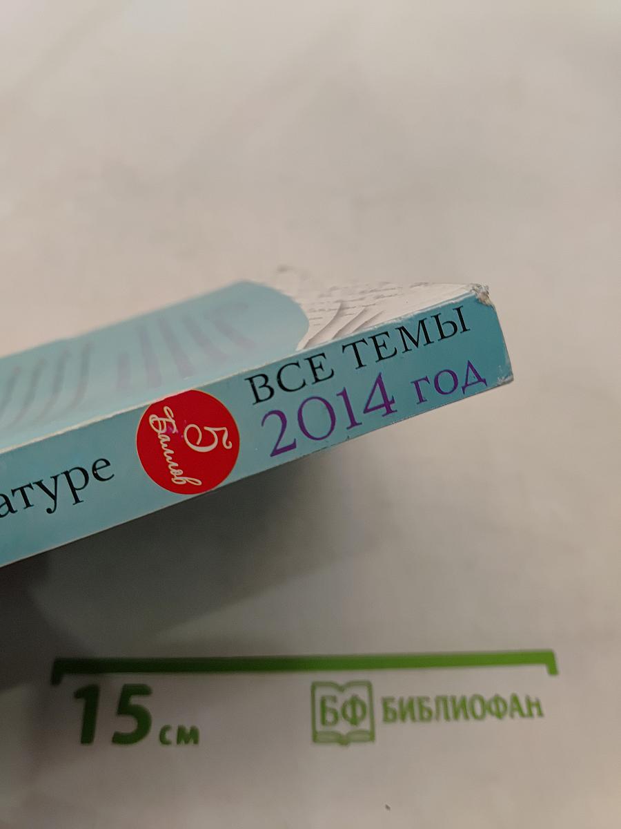 Сочинения по русской литературе. Все темы 2014