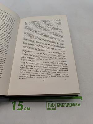 Собрание сочинений. Том шестой. Жизнь и приключения Николаса Никльби (Тома XXII-XXIV)