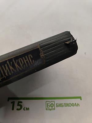 Собрание сочинений. Том шестой. Жизнь и приключения Николаса Никльби (Тома XXII-XXIV)