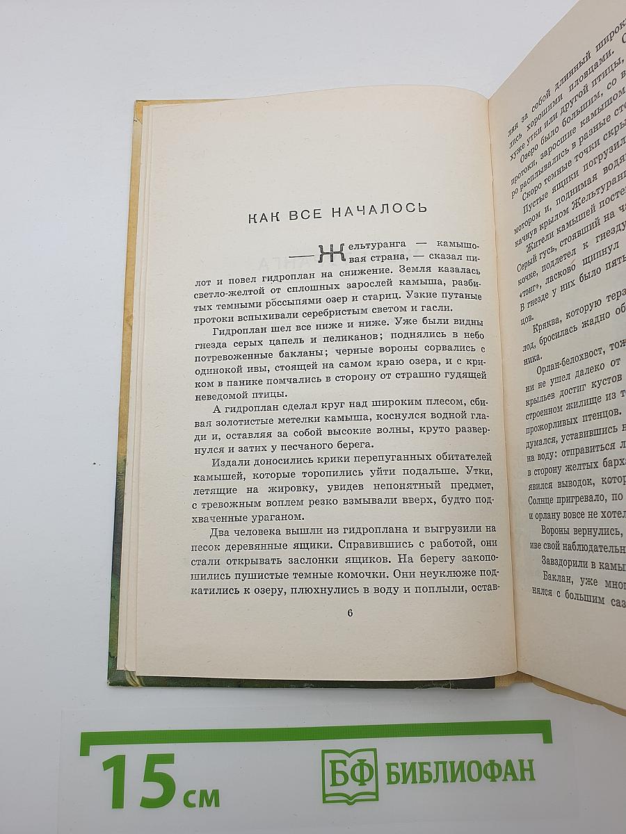 Пещера Черной Торопыги