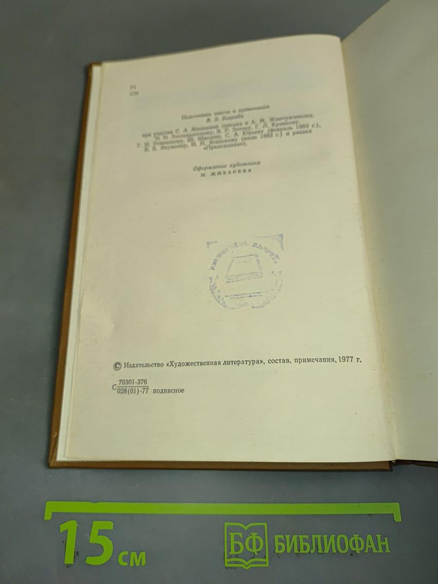 Собрание сочинений. Том девятнадцатый. Книга вторая. Письма (1881-1884)