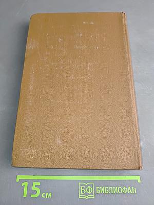 Собрание сочинений. Том девятнадцатый. Книга вторая. Письма (1881-1884)