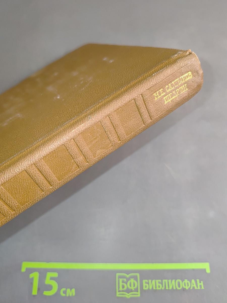 Собрание сочинений. Том девятнадцатый. Книга вторая. Письма (1881-1884)