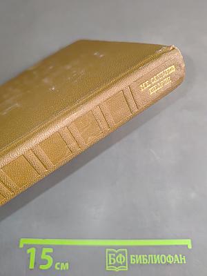 Собрание сочинений. Том девятнадцатый. Книга вторая. Письма (1881-1884)