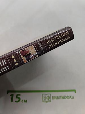 Все произведения школьной программы в кратком изложении. Литература. 10 класс