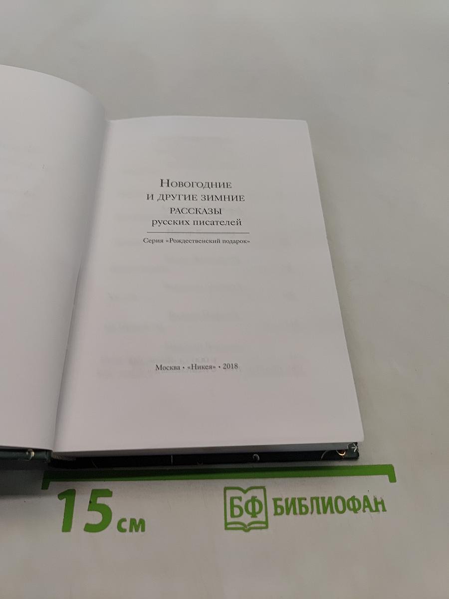 Новогодние и другие зимние рассказы русских писателей