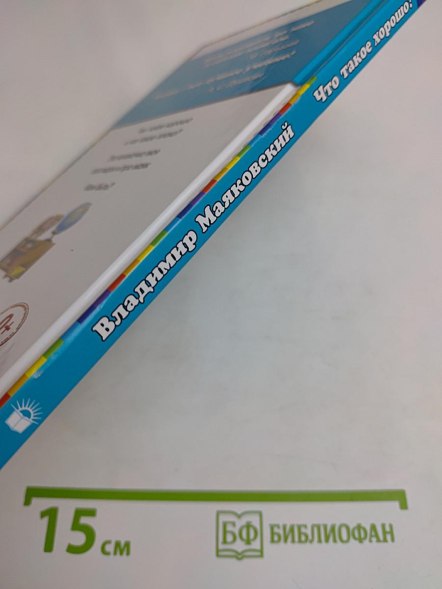 Что такое хорошо и что такое плохо?