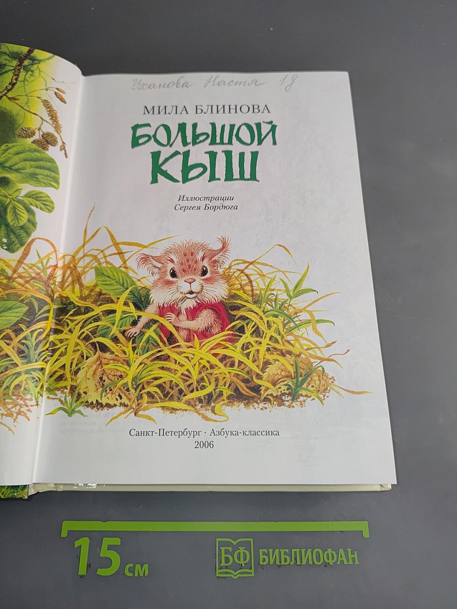 Большой Кыш