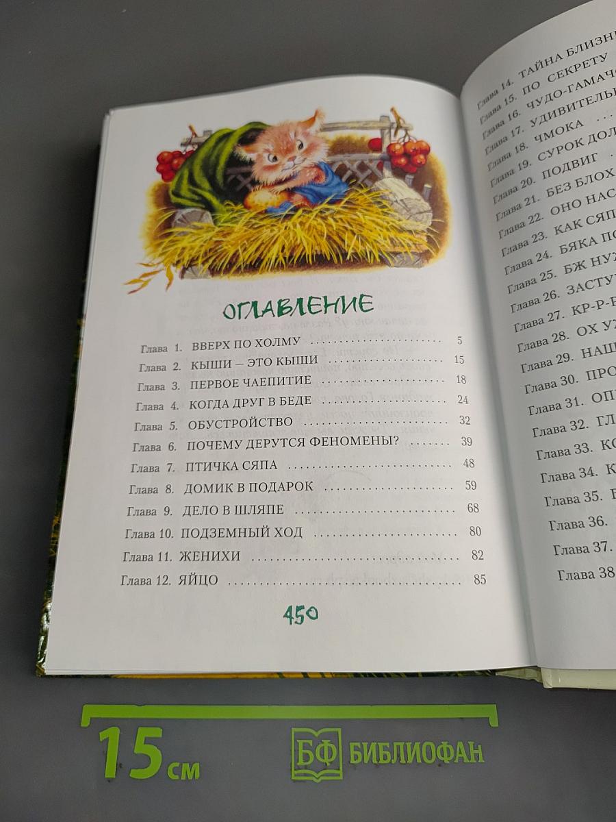 Большой Кыш