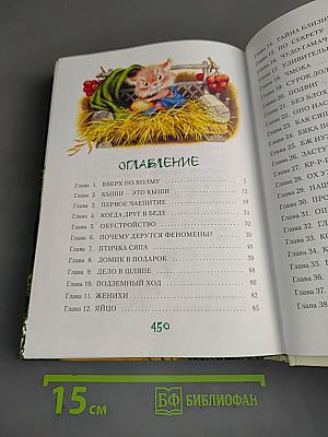 Большой Кыш