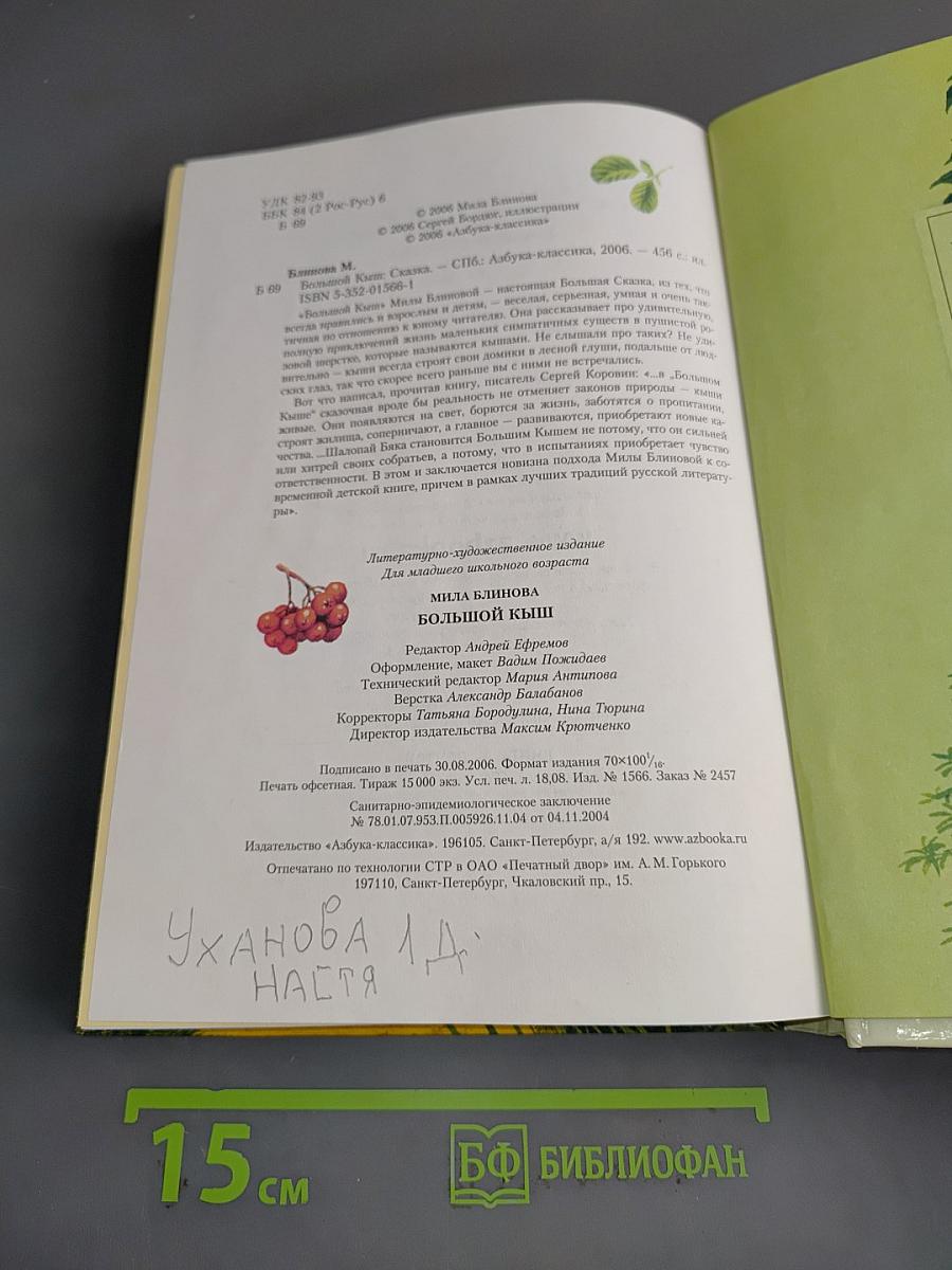 Большой Кыш