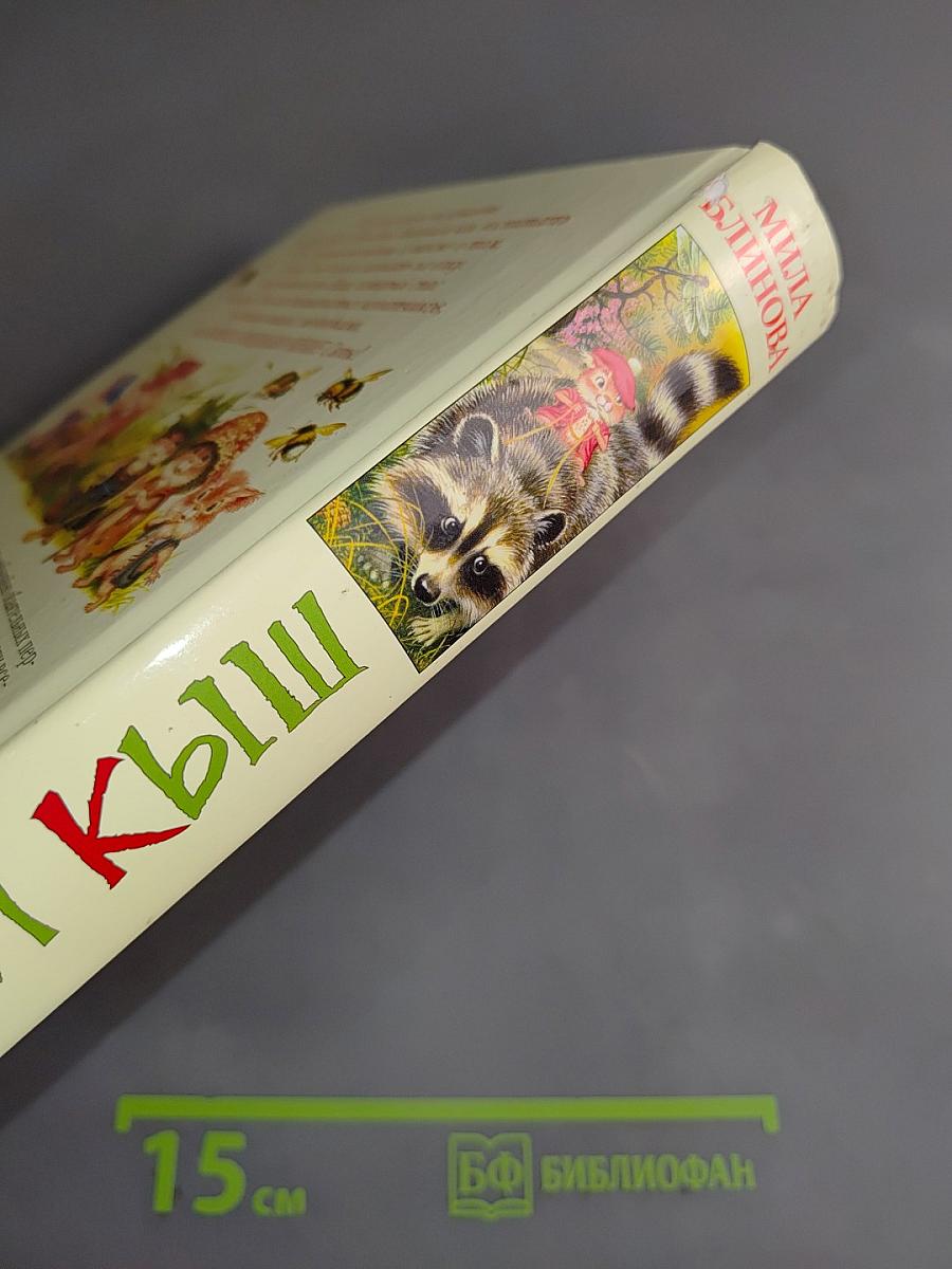 Большой Кыш