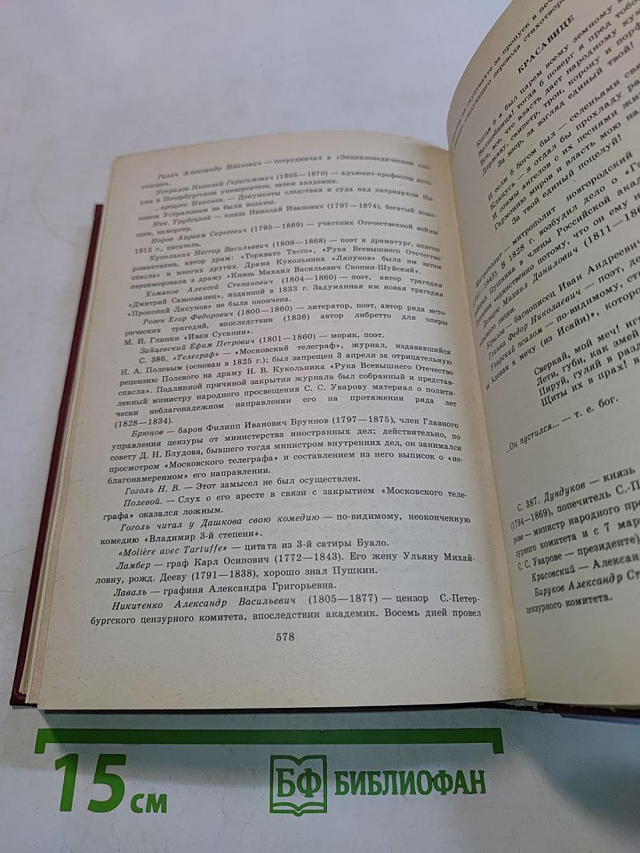 Мысли о литературе