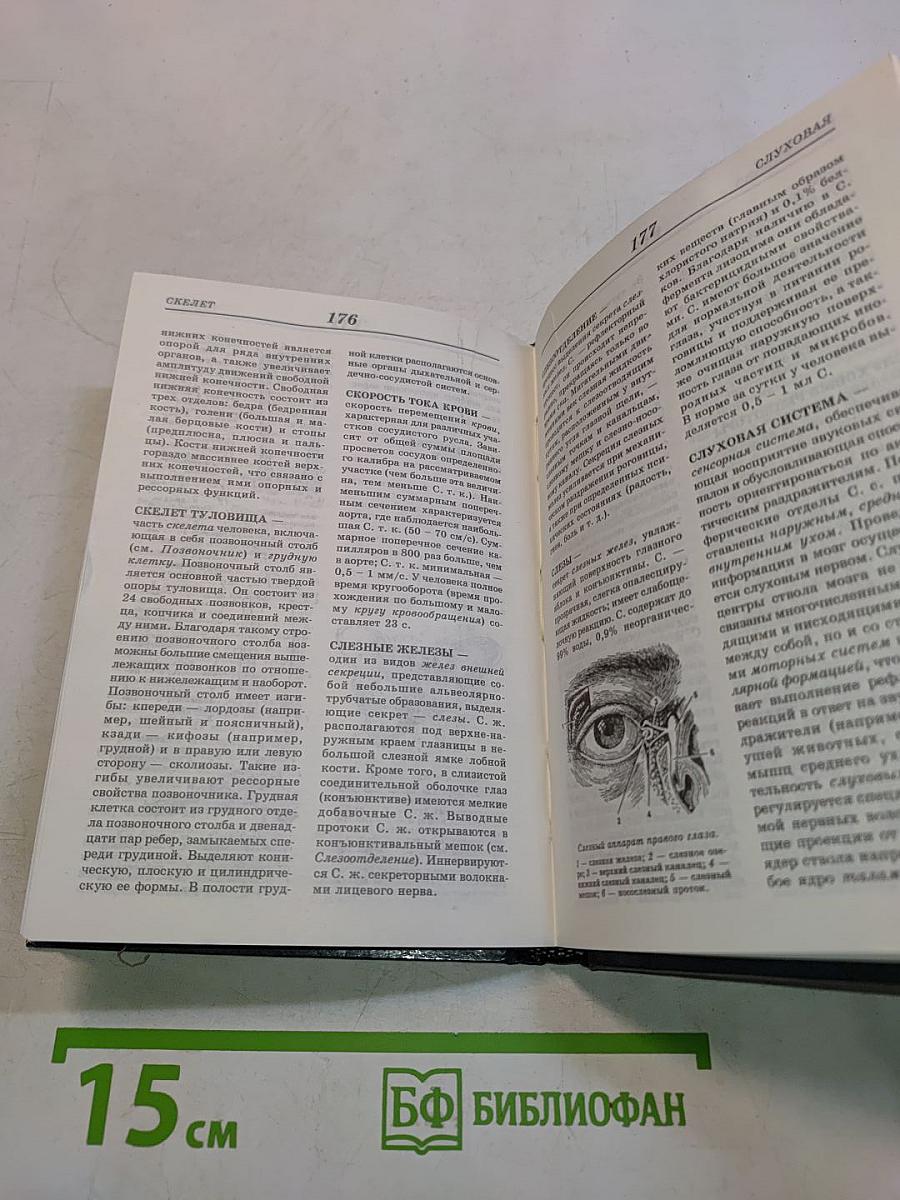 Анатомия. Физиология. Психология человека. Иллюстрированный краткий словарь