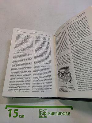 Анатомия. Физиология. Психология человека. Иллюстрированный краткий словарь