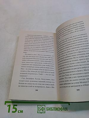 Туланский детектив. История, рассказанная леди Меламори Блимм