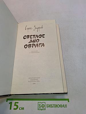Светлое дно оврага