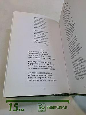 «Мой путь не окончен...» стихи