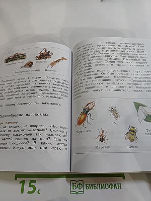 Окружающий мир 3 класс, Часть первая