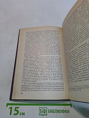 Теоретическая грамматика испанского языка. Морфология и синтаксис частей речи