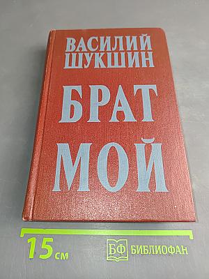 Брат мой