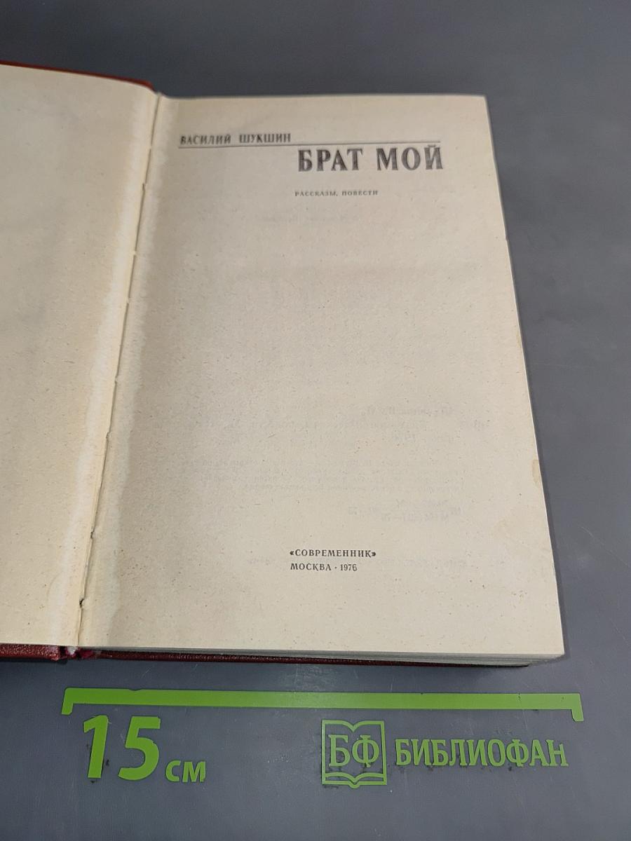 Брат мой