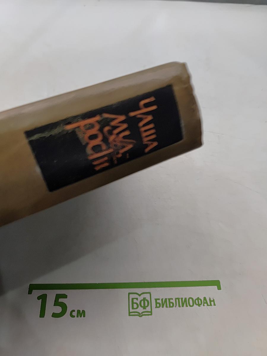 Чаша мудрости