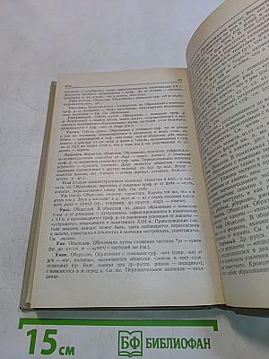 Краткий этимологический словарь русского языка