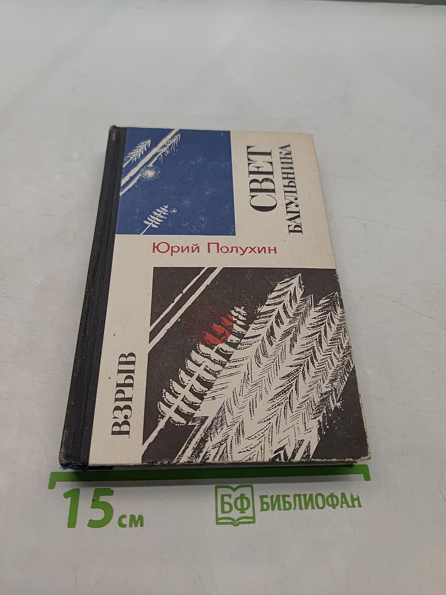 Свет багульника. Взрыв