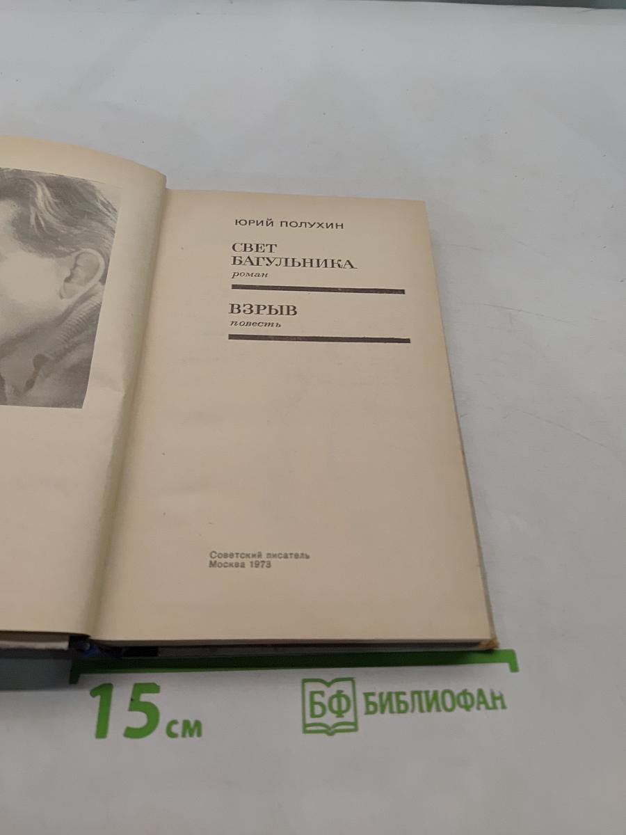 Свет багульника. Взрыв
