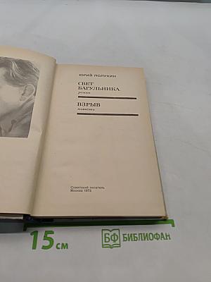 Свет багульника. Взрыв