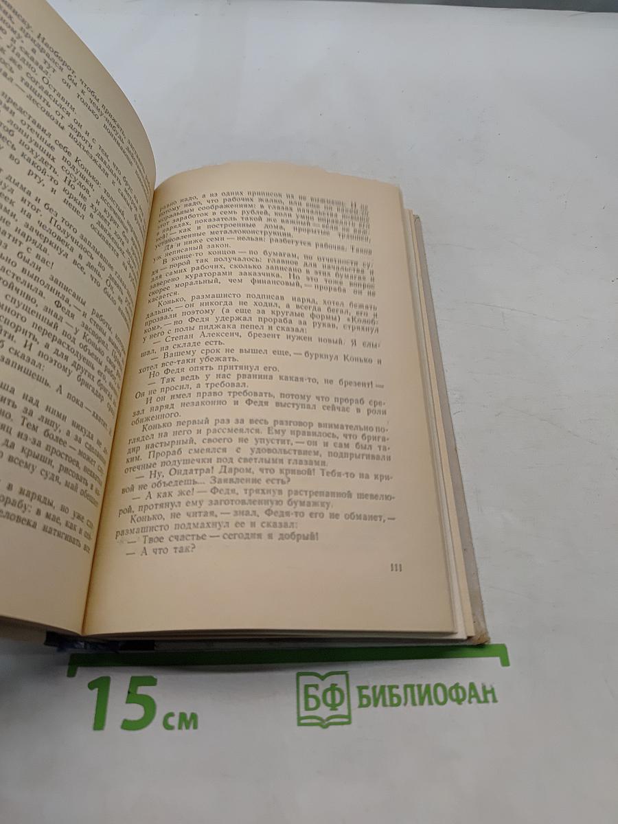 Свет багульника. Взрыв