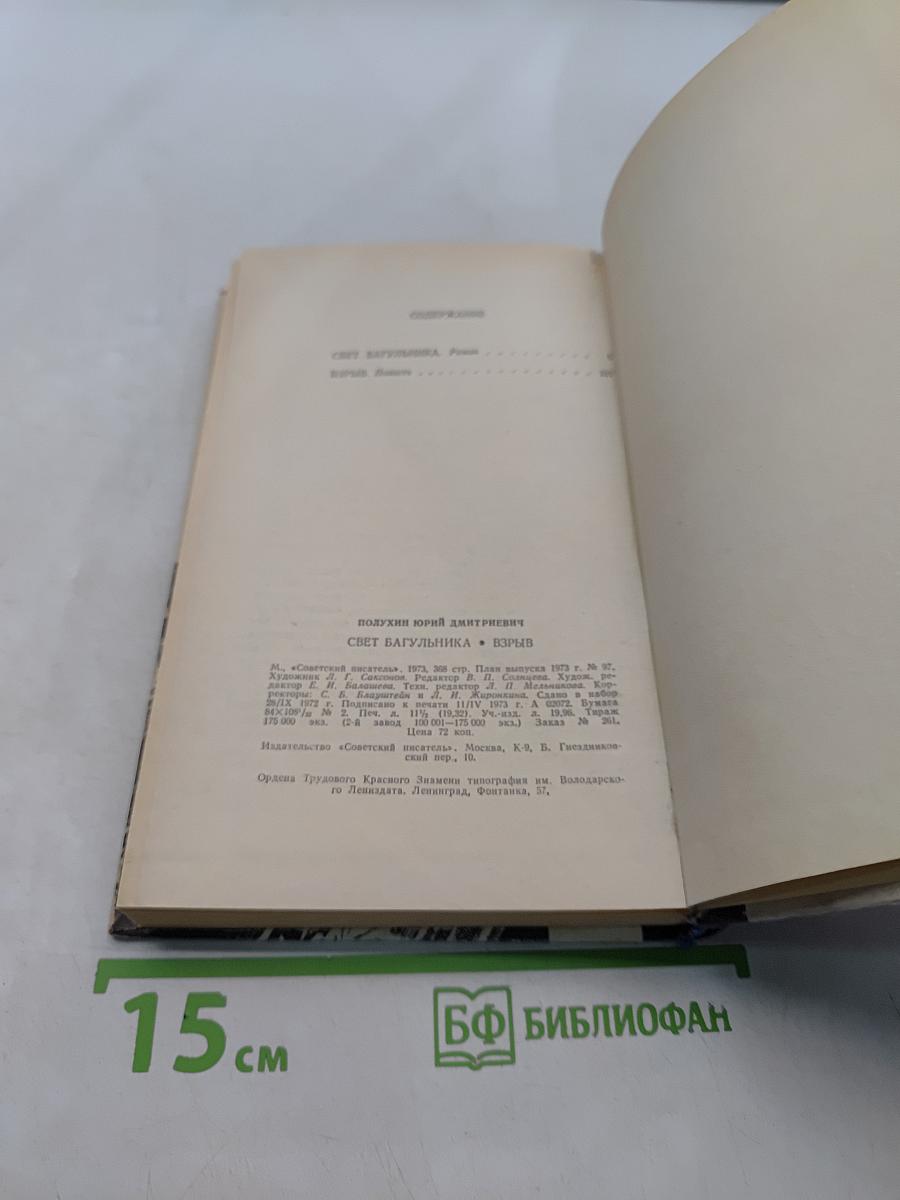 Свет багульника. Взрыв